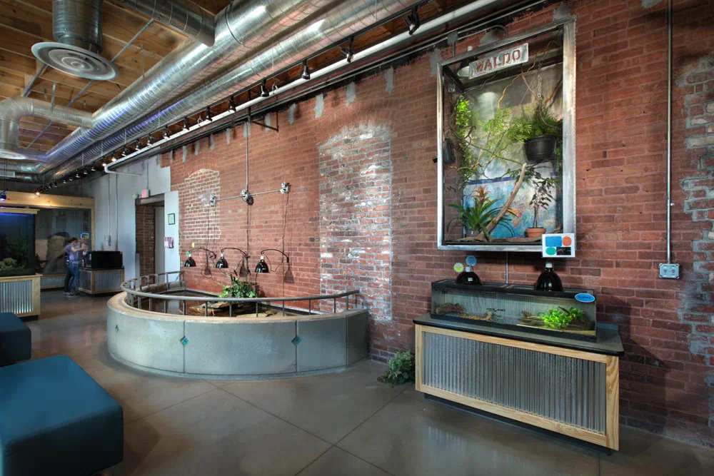 Leonardo's museum interior with exposed brick, circular planter and exhibit spaces